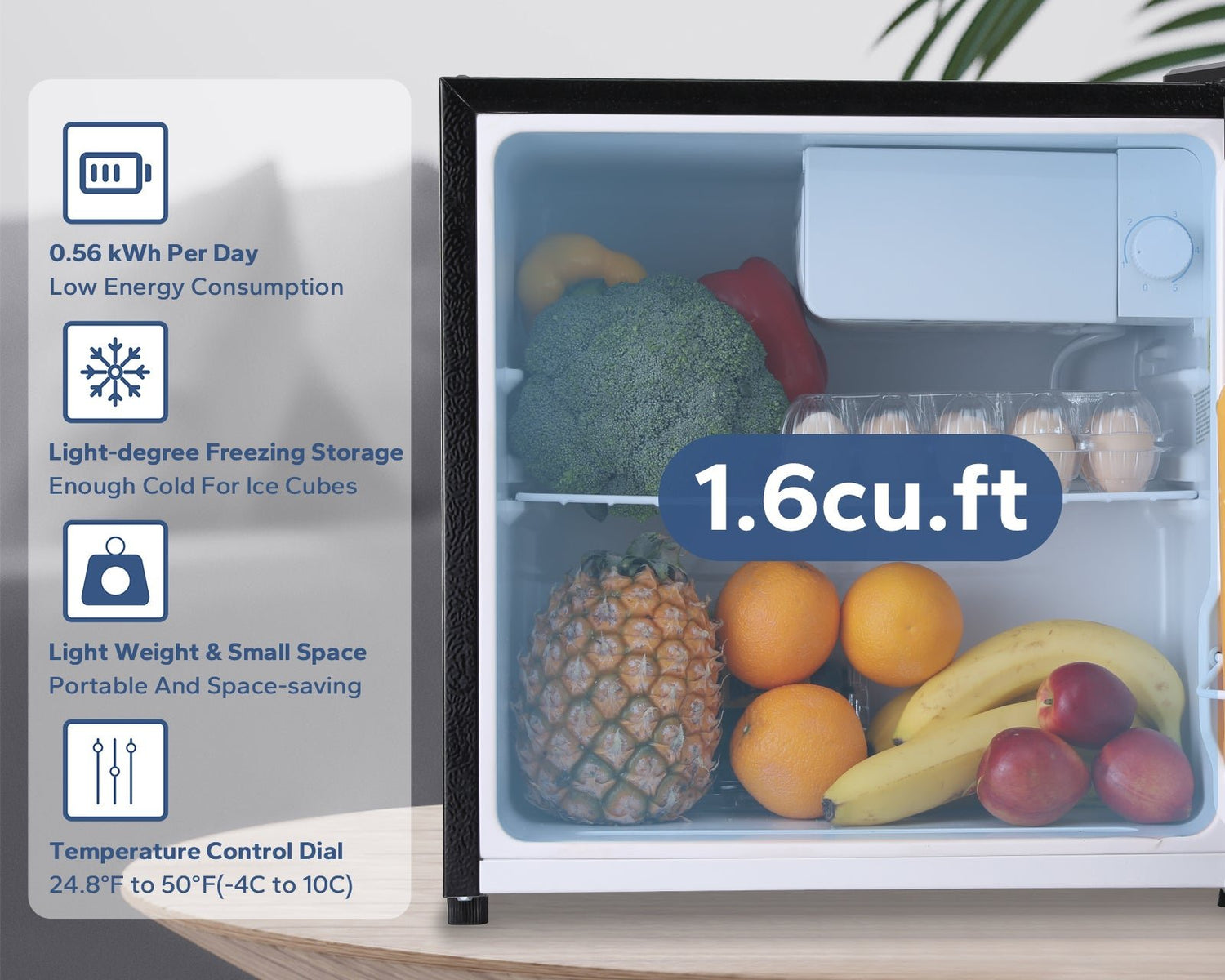 1.6Cu.ft Portable Fridge